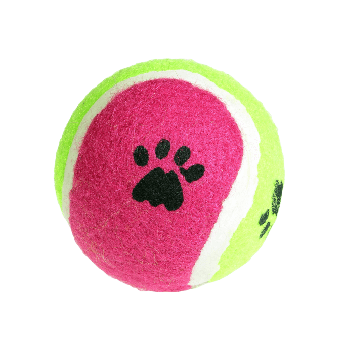 Shop Primary Image Shop Primary Image