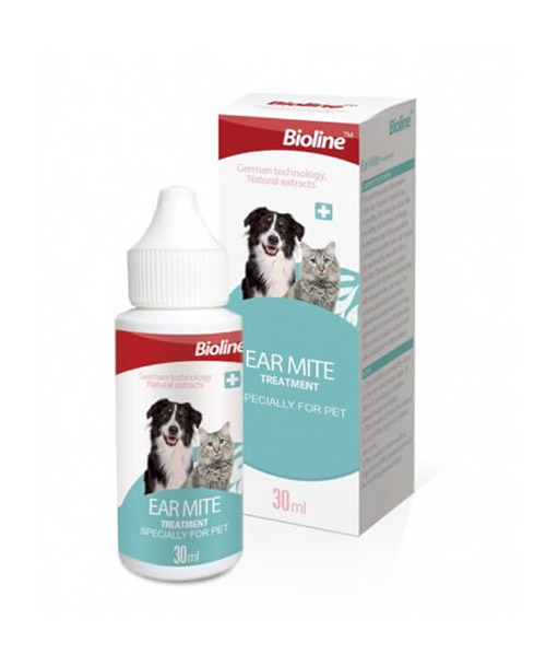 Shop Primary Image Shop Primary Image