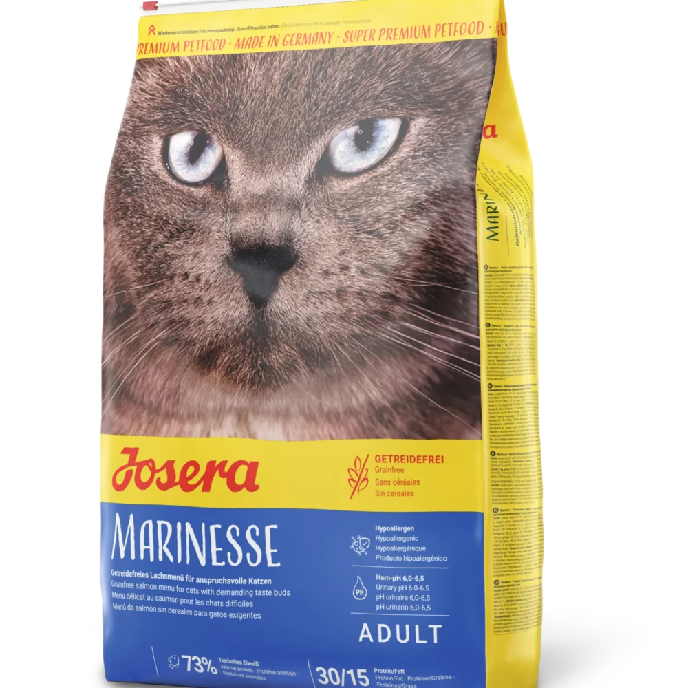 Shop Primary Image Shop Primary Image